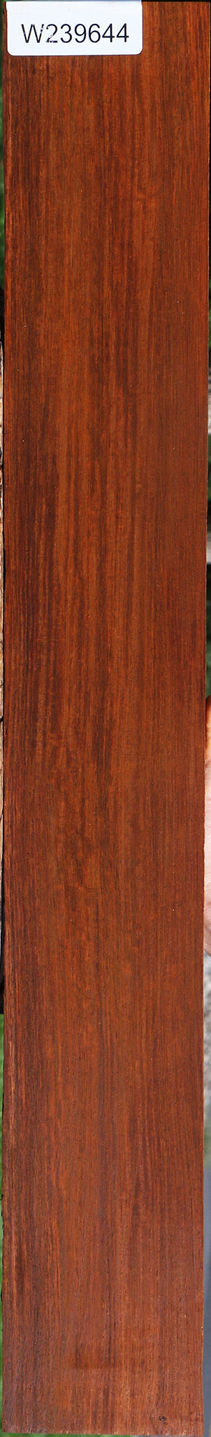 Quartersawn Cocobolo Fingerboard