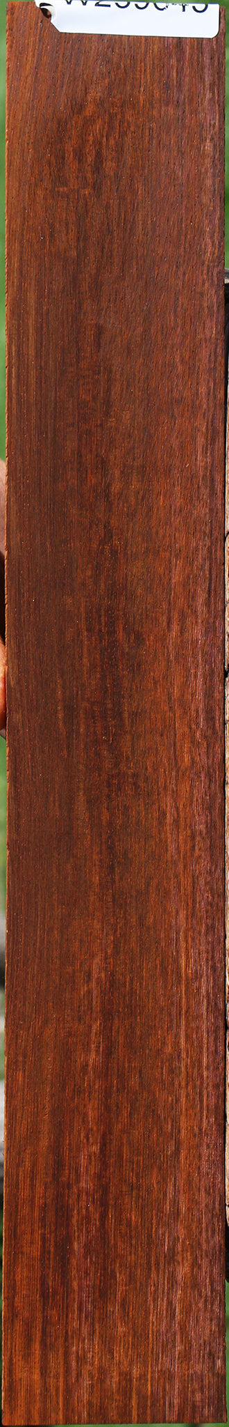 Extra Fancy Cocobolo Fingerboard