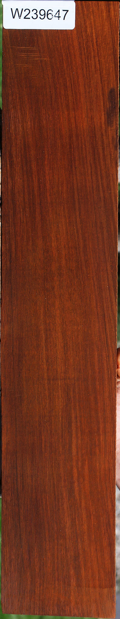 Cocobolo Fingerboard