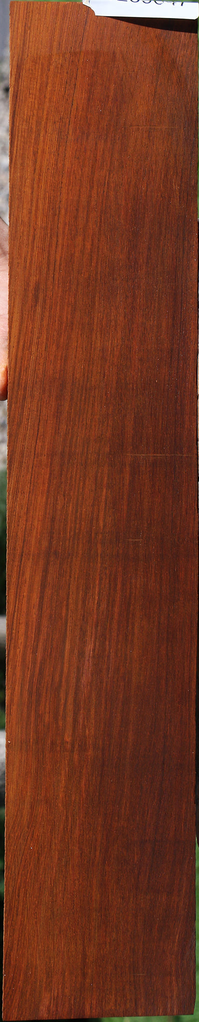Cocobolo Fingerboard