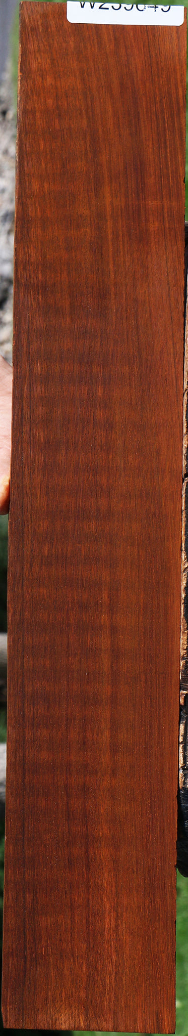 Cocobolo Micro Lumber