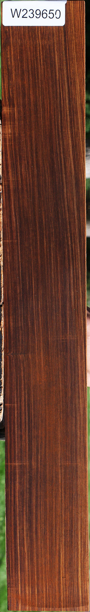 Quartersawn Cocobolo Fingerboard