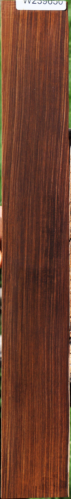 Quartersawn Cocobolo Fingerboard