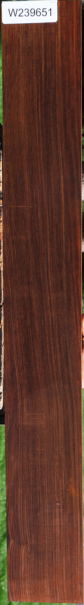 Quartersawn Cocobolo Fingerboard