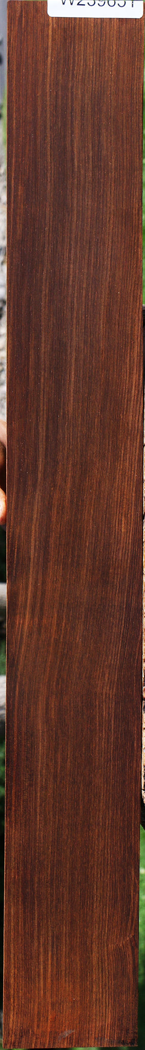 Quartersawn Cocobolo Fingerboard