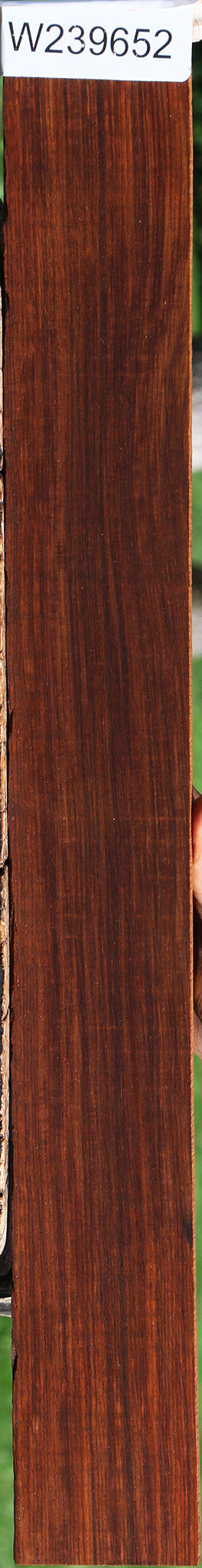 Cocobolo Micro Lumber