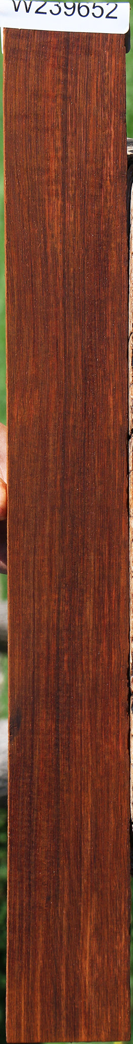 Cocobolo Micro Lumber