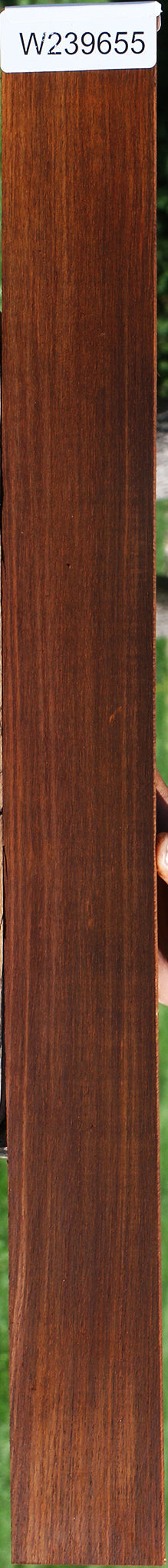 Cocobolo Fingerboard