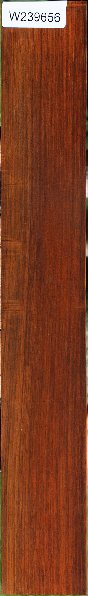 Cocobolo Fingerboard