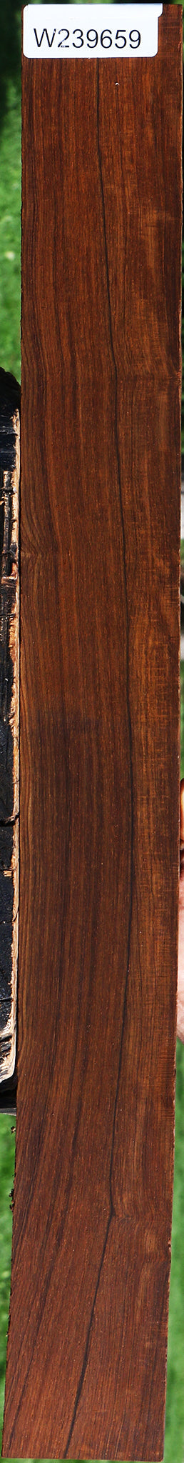 Figured Cocobolo Fingerboard