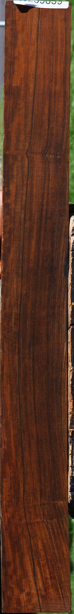 Figured Cocobolo Fingerboard