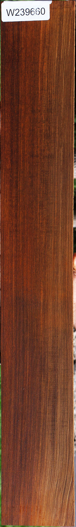 Quartersawn Cocobolo Fingerboard