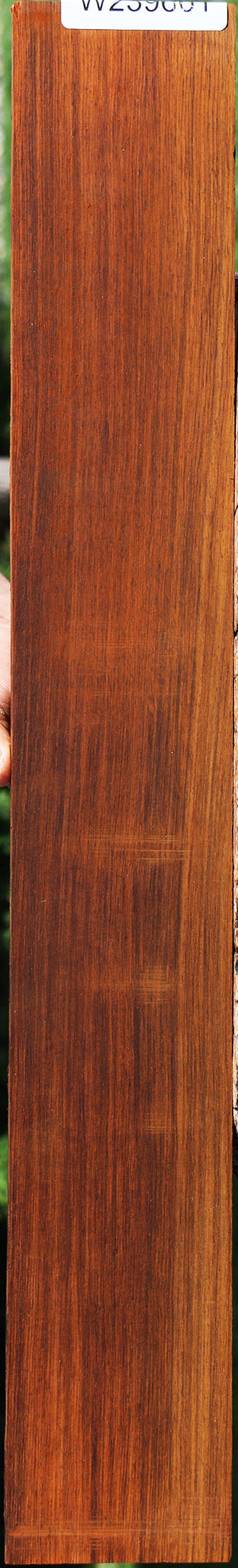 Quartersawn Cocobolo Fingerboard