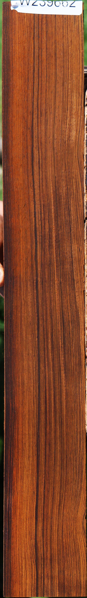 Cocobolo Micro Lumber