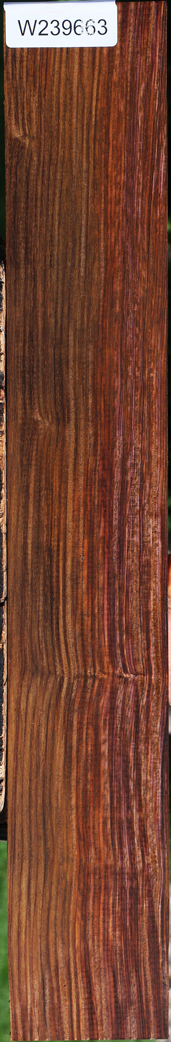 Cocobolo Micro Lumber