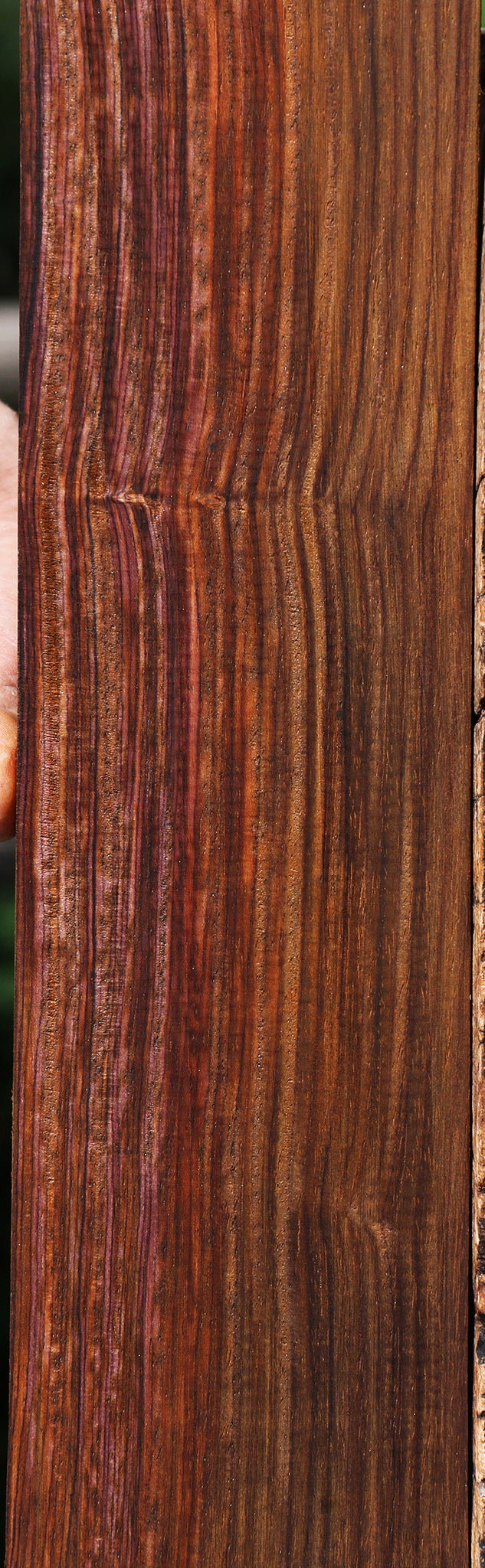 Cocobolo Micro Lumber