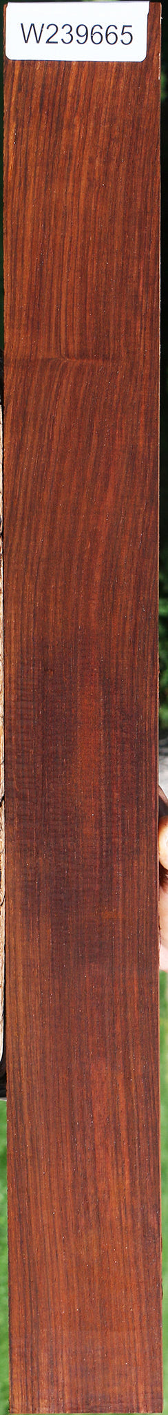 Cocobolo Fingerboard