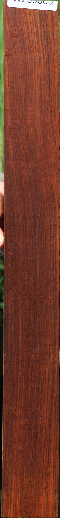 Cocobolo Fingerboard