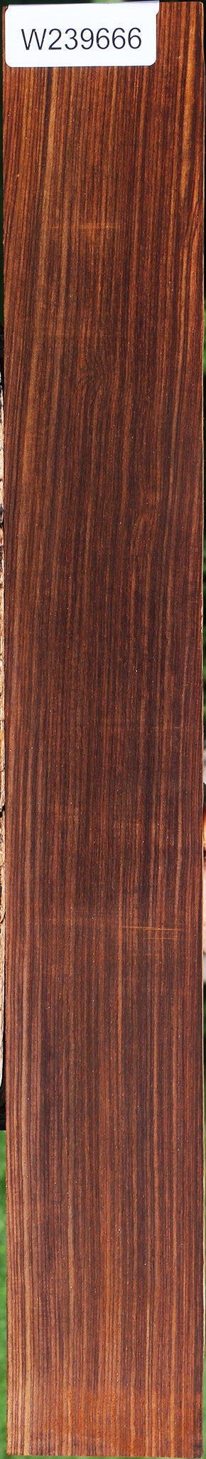 Quartersawn Cocobolo Fingerboard