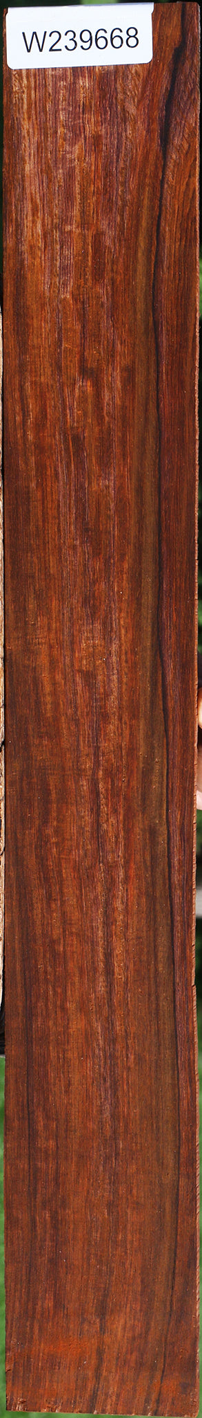 Figured Quartersawn Cocobolo Fingerboard