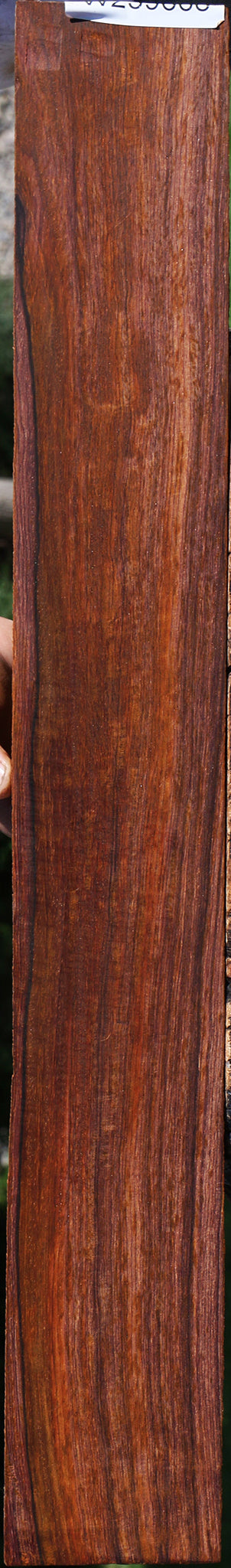 Figured Quartersawn Cocobolo Fingerboard