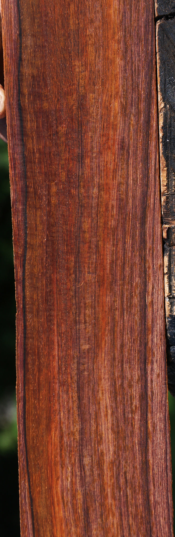 Figured Quartersawn Cocobolo Fingerboard