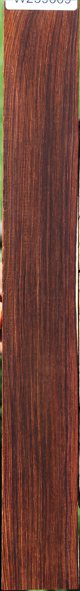 Cocobolo Fingerboard