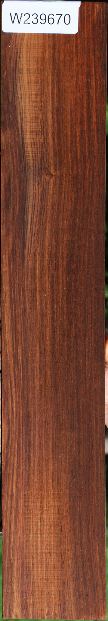 Cocobolo Instrument Micro Lumber