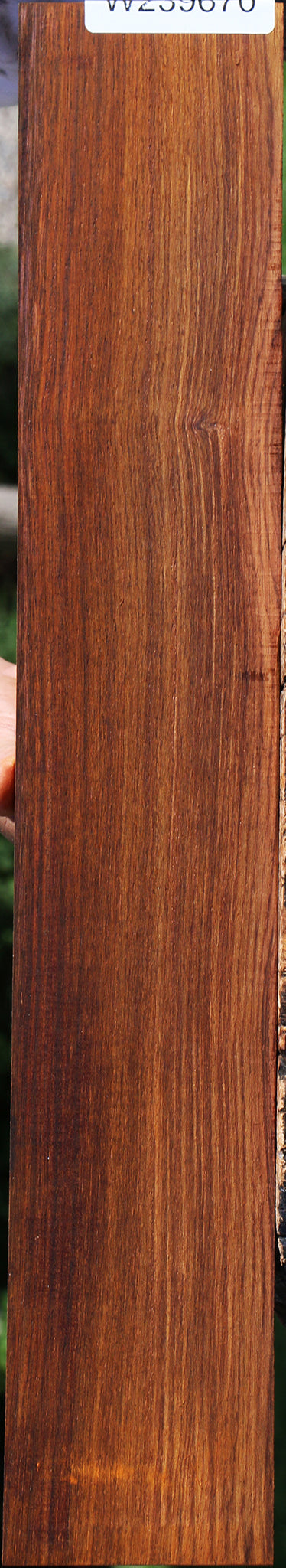 Cocobolo Instrument Micro Lumber