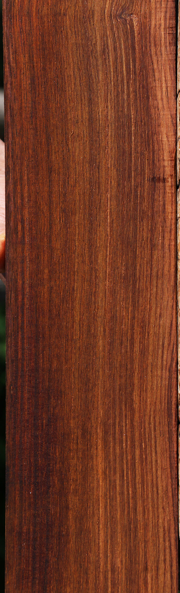 Cocobolo Instrument Micro Lumber