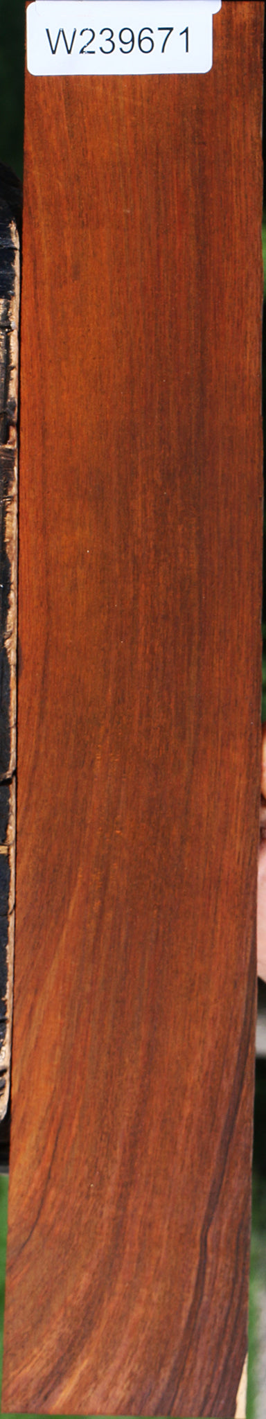 Cocobolo Micro Lumber