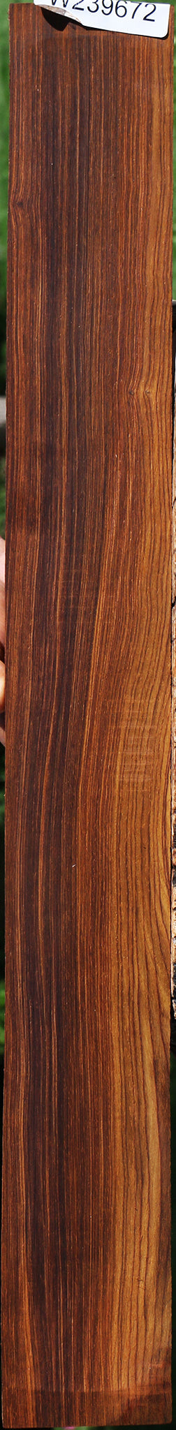 Cocobolo Instrument Micro Lumber
