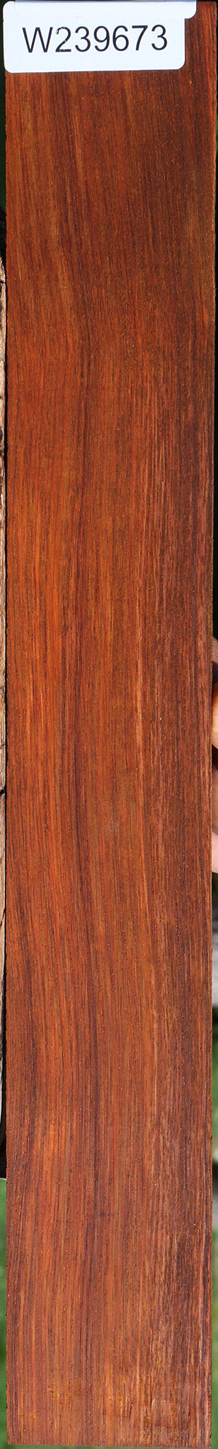 Quartersawn Cocobolo Fingerboard