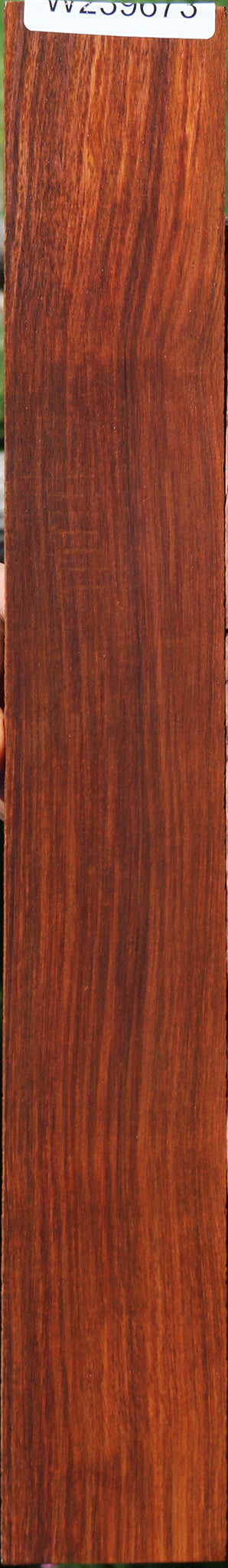 Quartersawn Cocobolo Fingerboard