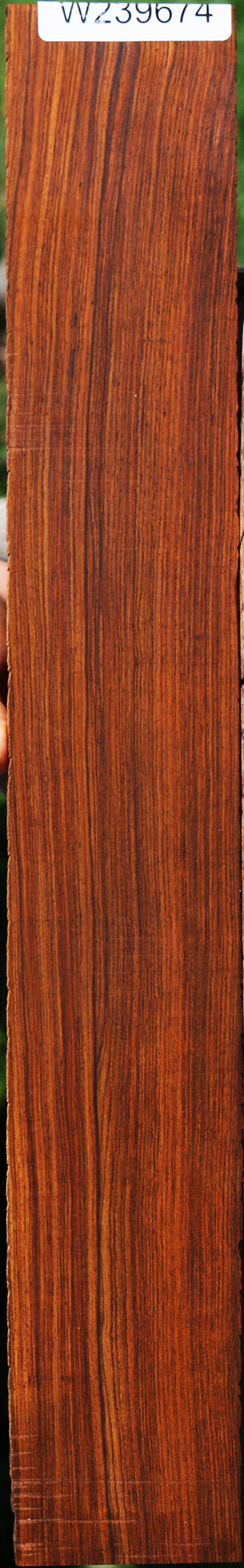 Cocobolo Fingerboard