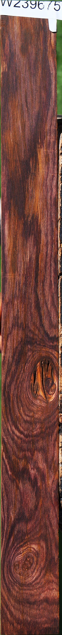 Figured Cocobolo Micro Lumber