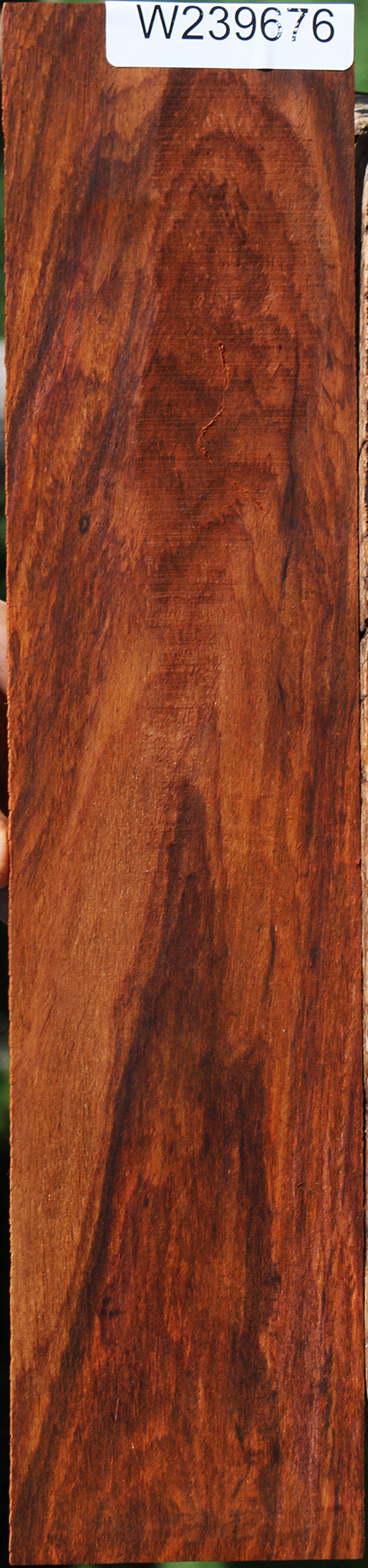 Cocobolo Micro Lumber