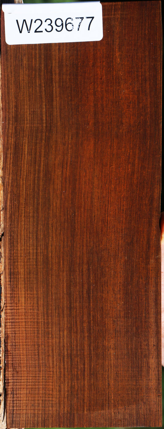 Quartersawn Cocobolo Instrument Micro Lumber