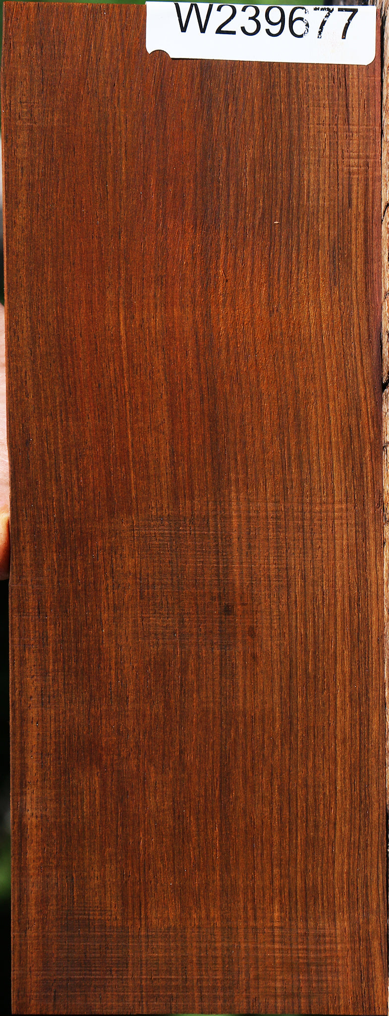 Quartersawn Cocobolo Instrument Micro Lumber