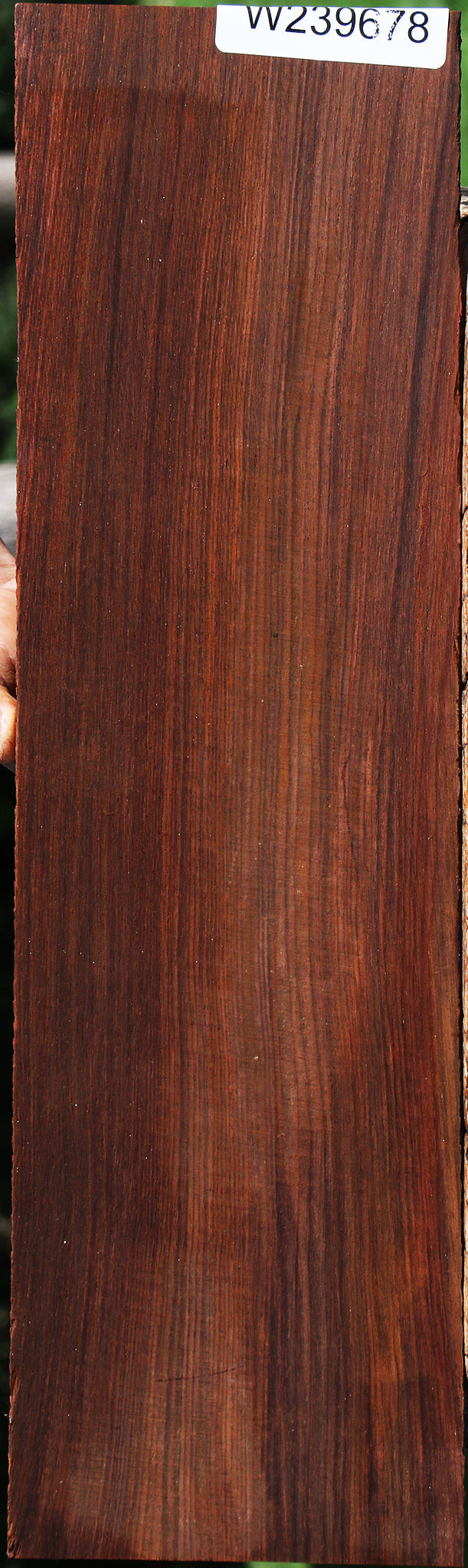 Quartersawn Cocobolo Instrument Micro Lumber