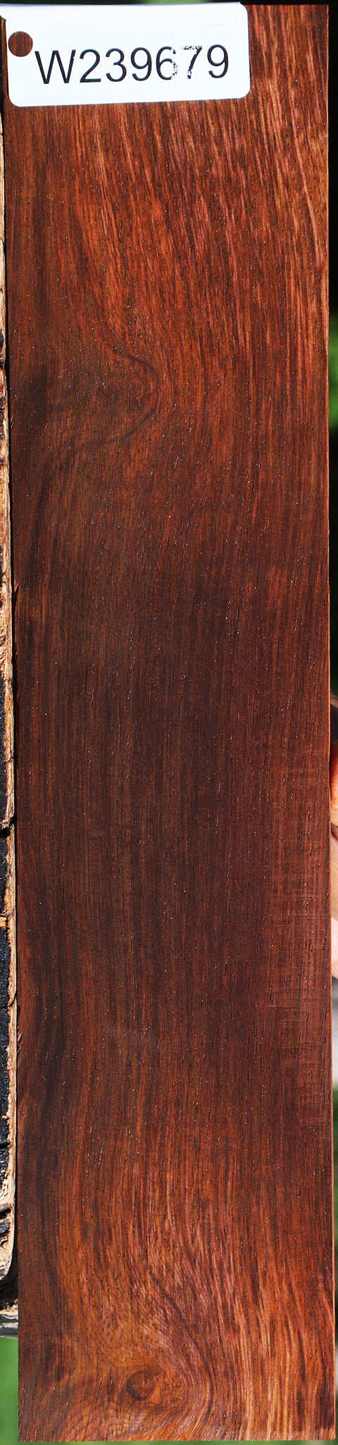 Cocobolo Micro Lumber