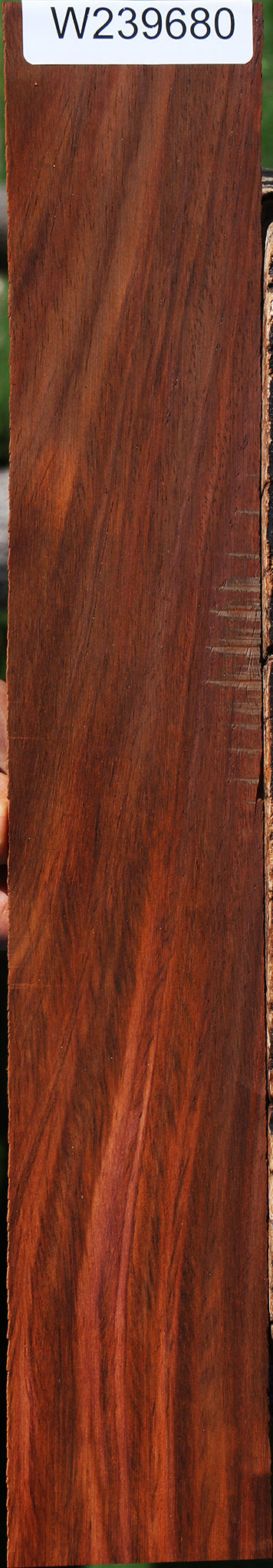 Cocobolo Micro Lumber