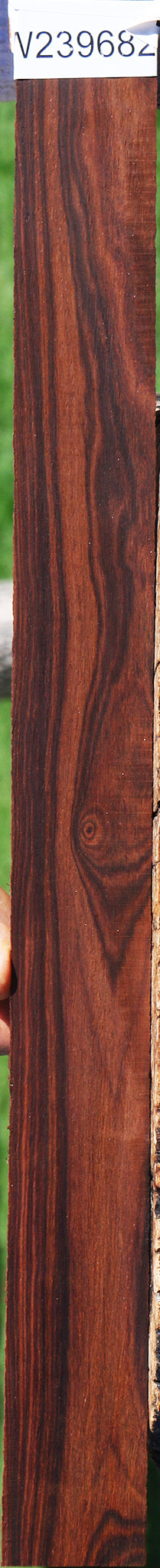 Cocobolo Micro Lumber