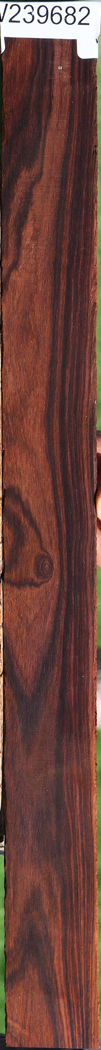 Cocobolo Micro Lumber