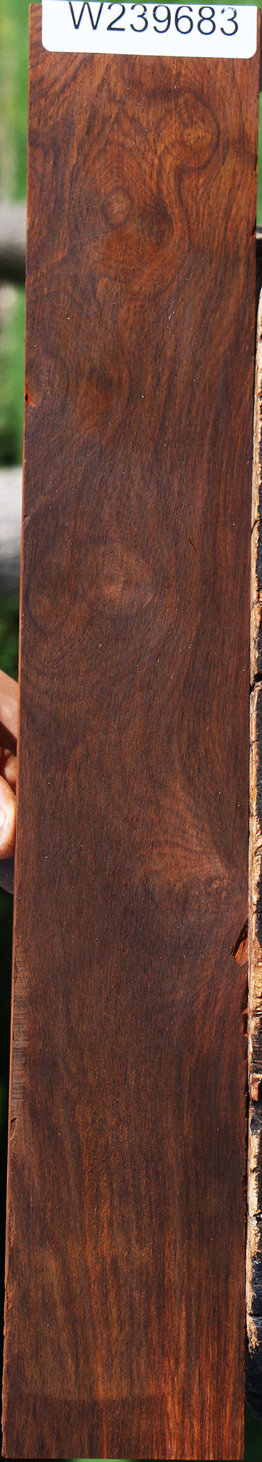 Extra Fancy Cocobolo Micro Lumber