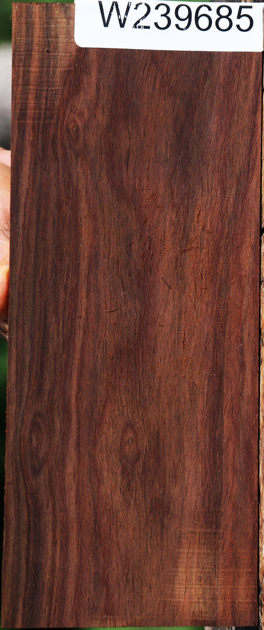 Cocobolo Micro Lumber