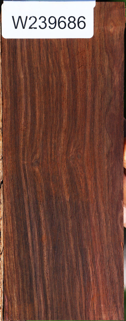 Cocobolo Micro Lumber