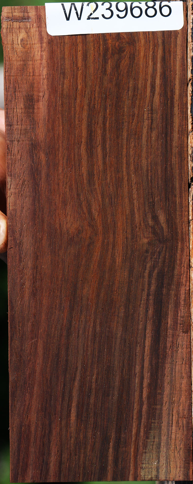 Cocobolo Micro Lumber