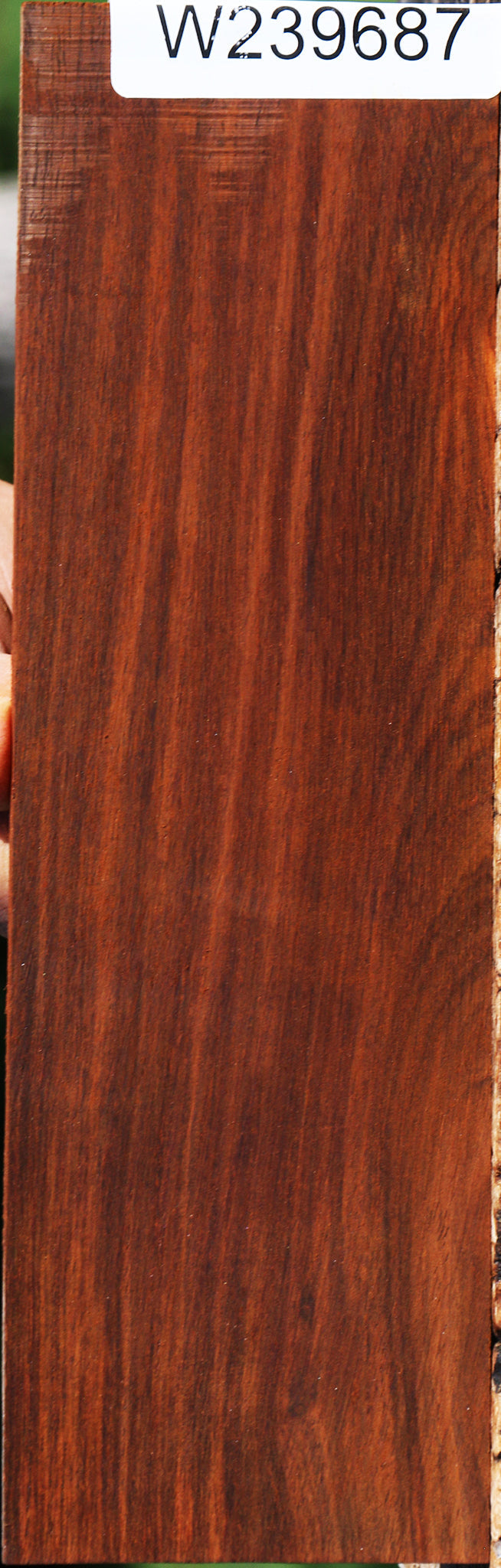 Cocobolo Micro Lumber