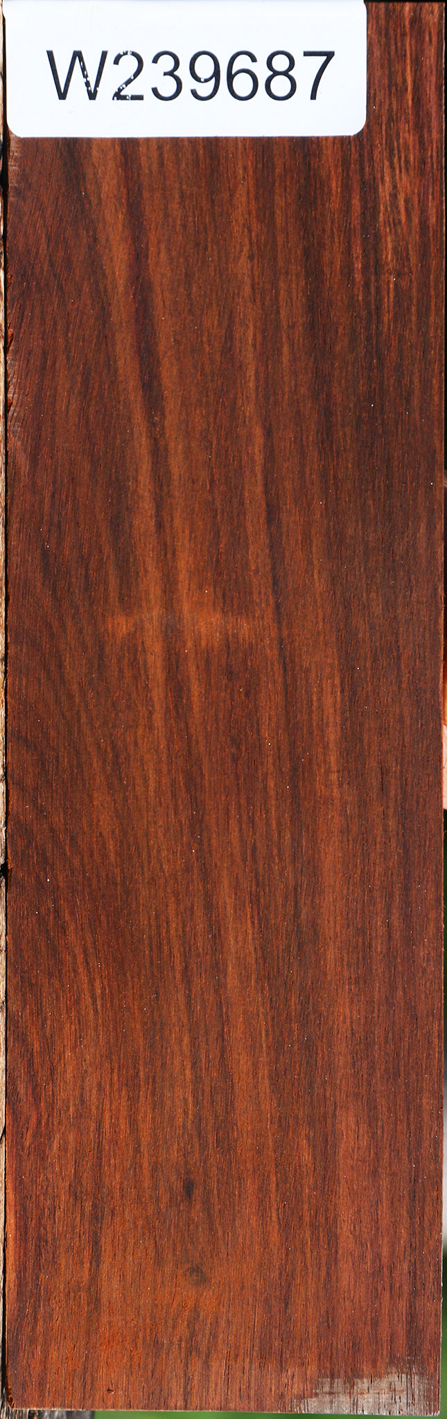 Cocobolo Micro Lumber